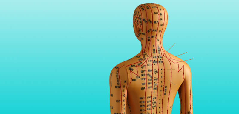 TCM Akupunktur Puppe mit Nadeln und Meridianen